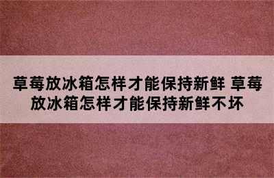 草莓放冰箱怎样才能保持新鲜 草莓放冰箱怎样才能保持新鲜不坏